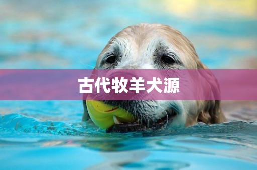 古代牧羊犬源