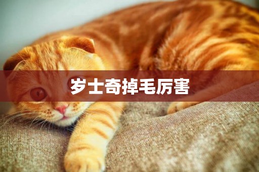 歲士奇掉毛厲害
