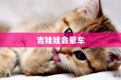 吉娃娃會暈車