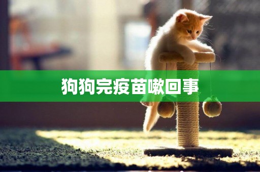 狗狗完疫苗嗽回事