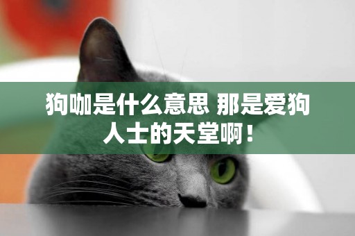 狗咖是什么意思 那是愛狗人士的天堂啊！