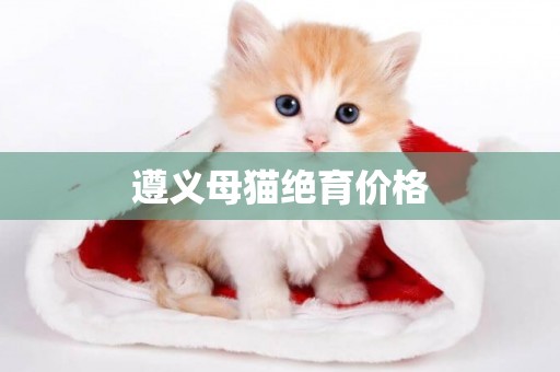 遵義母貓絕育價格