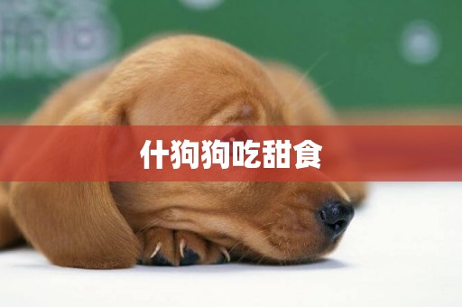 什狗狗吃甜食