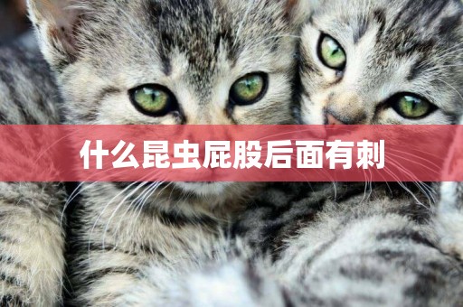 什么昆蟲屁股后面有刺