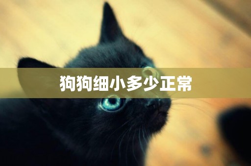 狗狗細小多少正常