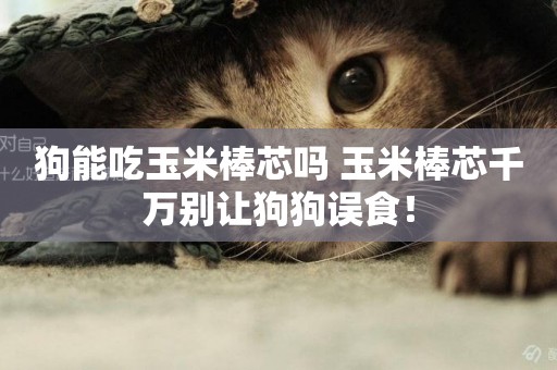狗能吃玉米棒芯嗎 玉米棒芯千萬別讓狗狗誤食！