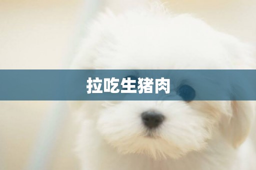 拉吃生豬肉