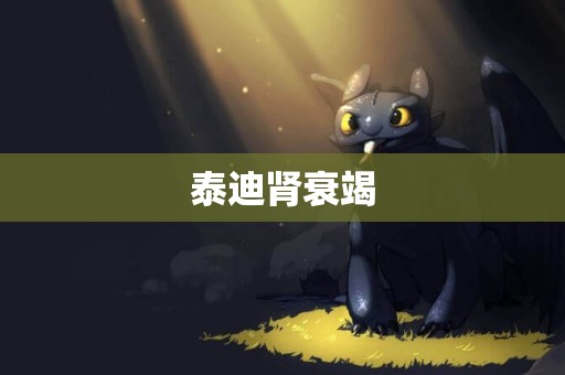 泰迪腎衰竭
