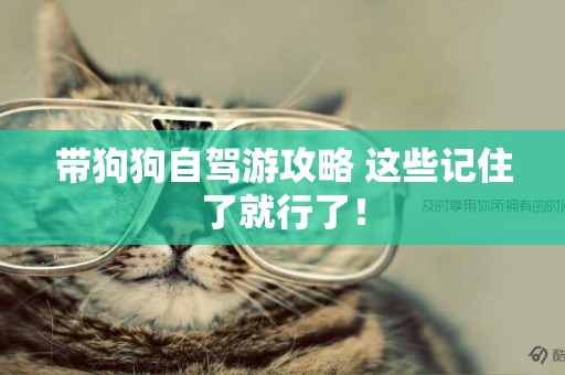 帶狗狗自駕游攻略 這些記住了就行了！