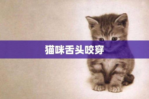 貓咪舌頭咬穿