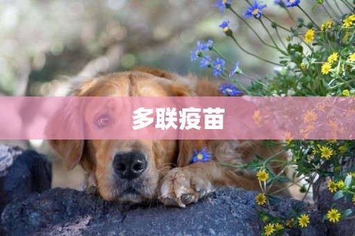 多聯疫苗