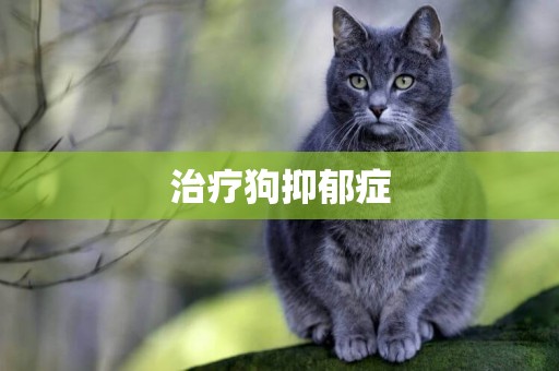 治療狗抑郁癥