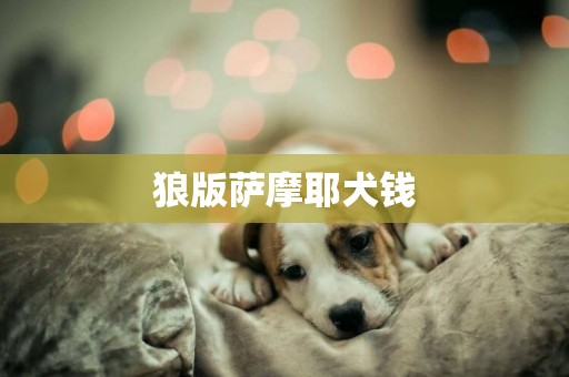 狼版薩摩耶犬錢