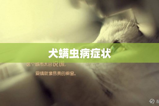 犬螨蟲病癥狀
