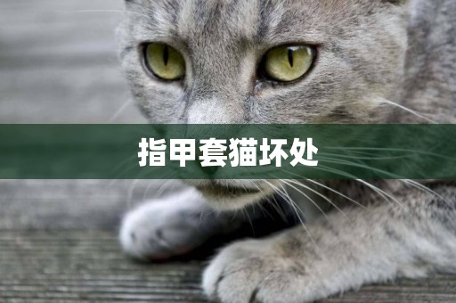 指甲套貓壞處