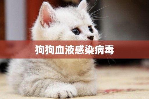 狗狗血液感染病毒