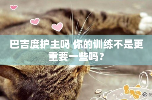 巴吉度護主嗎 你的訓練不是更重要一些嗎？