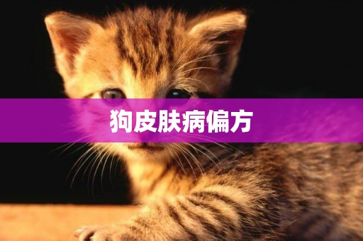 狗皮膚病偏方