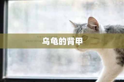 烏龜的背甲