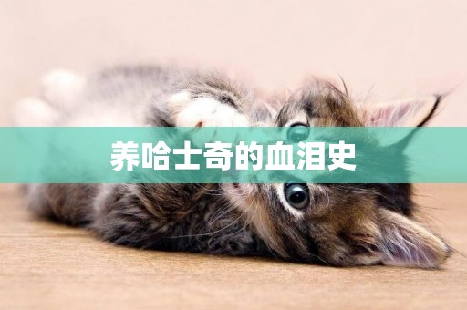 養哈士奇的血淚史