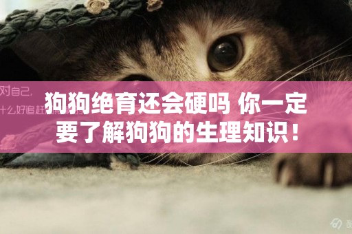 狗狗絕育還會硬嗎 你一定要了解狗狗的生理知識！
