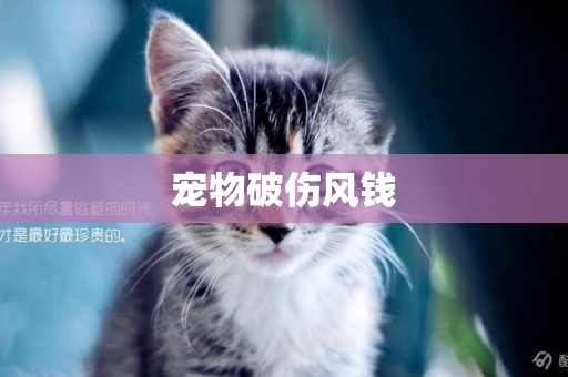 寵物破傷風錢