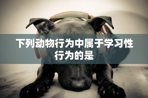 下列動物行為中屬于學習性行為的是