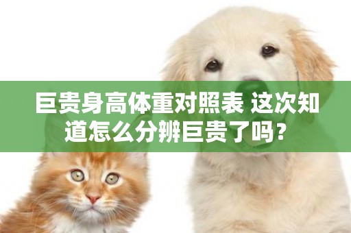 巨貴身高體重對照表 這次知道怎么分辨巨貴了嗎？