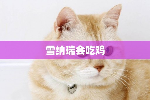 雪納瑞會吃雞