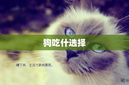 狗吃什選擇