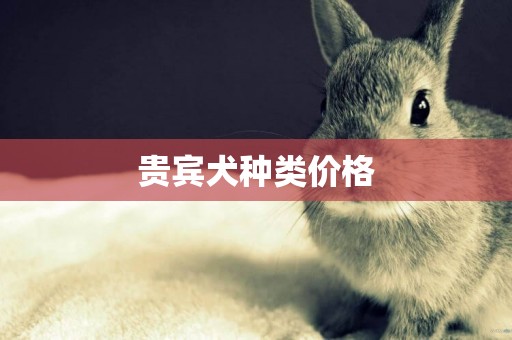 貴賓犬種類價格