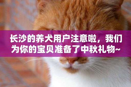 長沙的養犬用戶注意啦，我們為你的寶貝準備了中秋禮物~