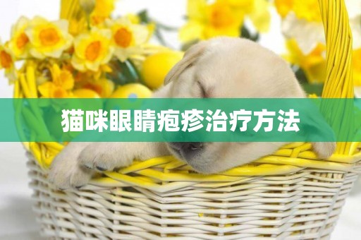 貓咪眼睛皰疹治療方法