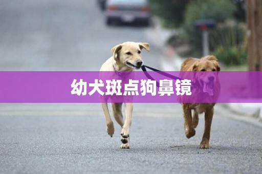 幼犬斑點狗鼻鏡