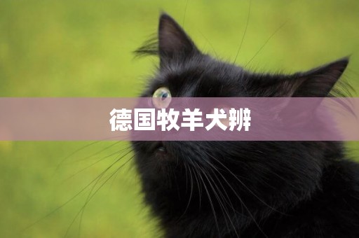 德國牧羊犬辨
