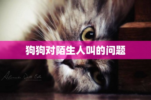 狗狗對陌生人叫的問題