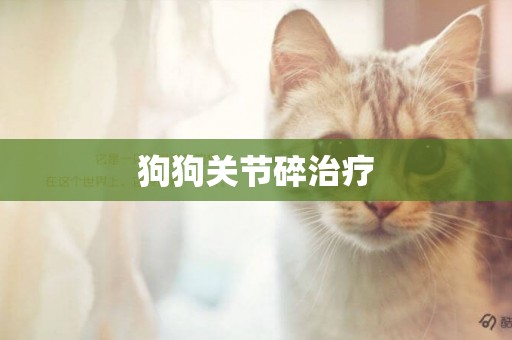 狗狗關節碎治療