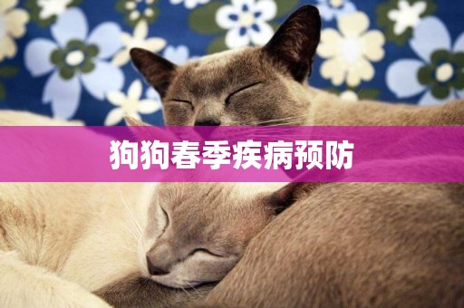 狗狗春季疾病預防