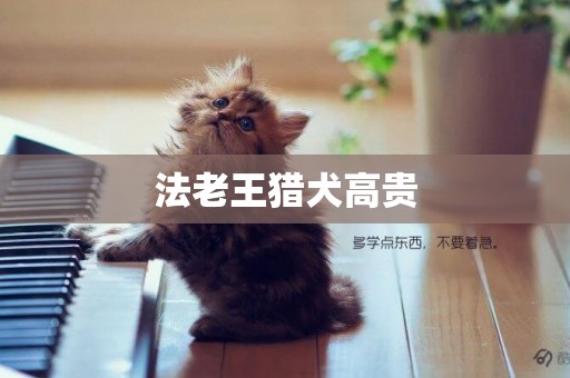 法老王獵犬高貴