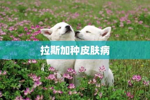 拉斯加種皮膚病