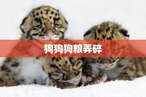狗狗狗糧弄碎