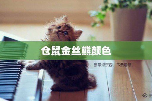 倉鼠金絲熊顏色