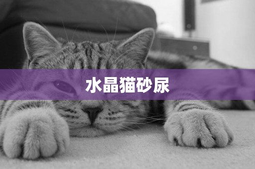 水晶貓砂尿