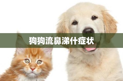 狗狗流鼻涕什癥狀