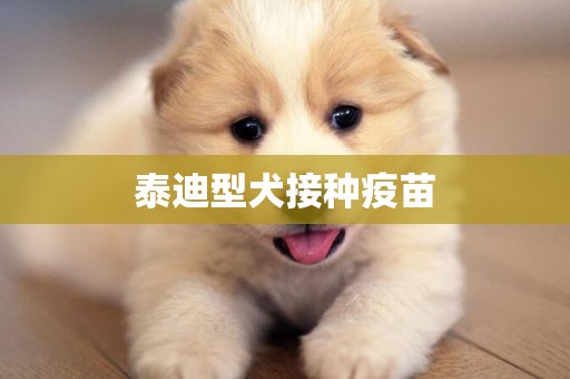 泰迪型犬接種疫苗