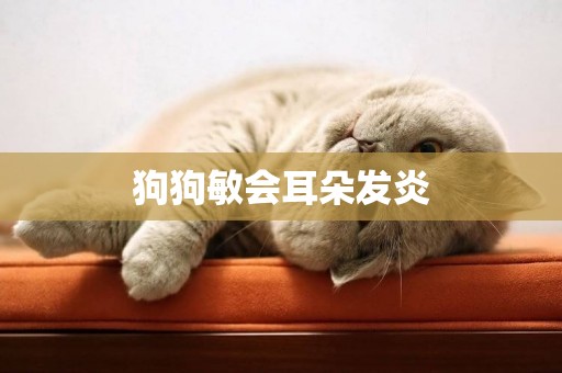 狗狗敏會耳朵發炎