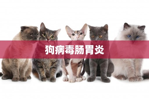 狗病毒腸胃炎