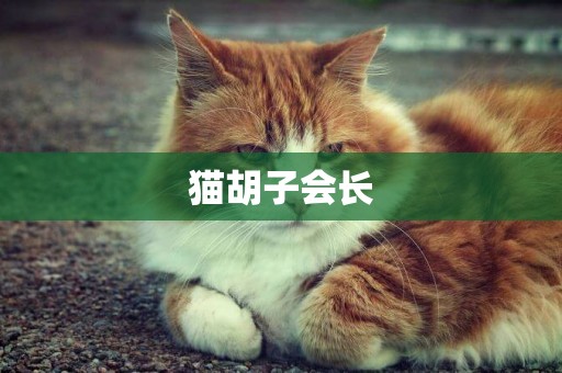 貓胡子會長