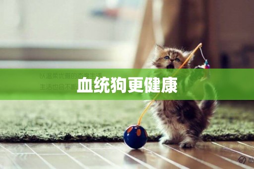 血統狗更健康