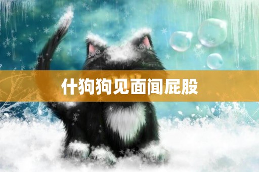 什狗狗見面聞屁股